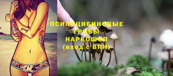 МДПВ Коряжма