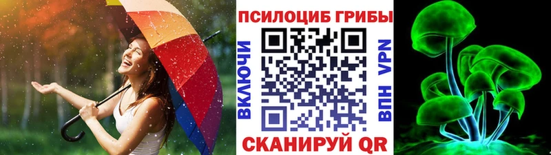 купить  сайты  Темников  hydra как войти  Псилоцибиновые грибы Cubensis 